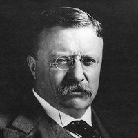 Theodore Roosevelt Portrait