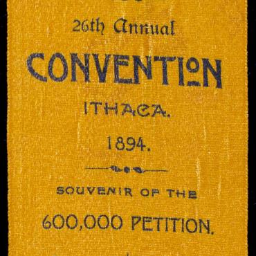 New York Woman Suffrage Association Ribbon, 1894
